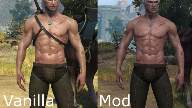 ,     Skinnier Geralt's torso for The Witcher 3