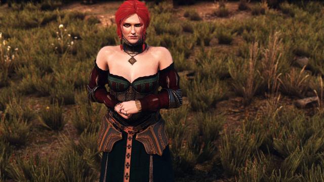 New Lodge of Sorceresses for The Witcher 3