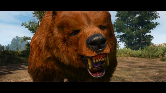 Brother Bear для The Witcher 3