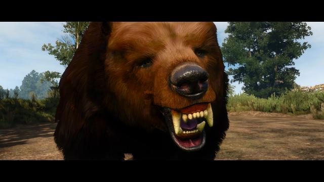 Brother Bear for The Witcher 3