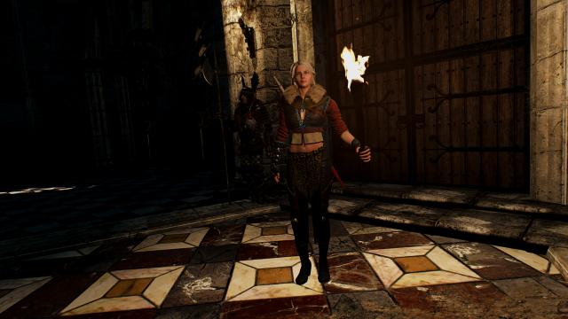 Torch For Ciri for The Witcher 3