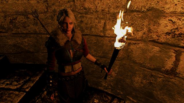 Факел для Цири / Torch For Ciri для The Witcher 3
