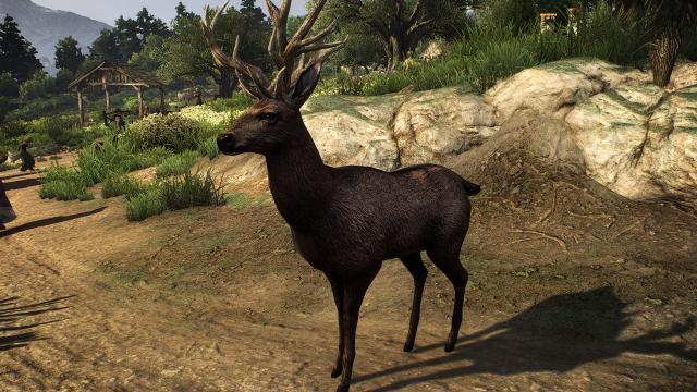 HDAR - HD Animals Reworked для The Witcher 3