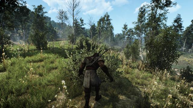 Stealth Overhaul for The Witcher 3
