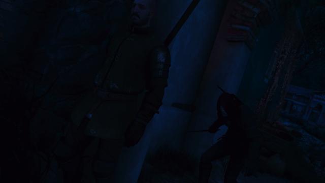 Режим скрытности / Stealth Overhaul для The Witcher 3