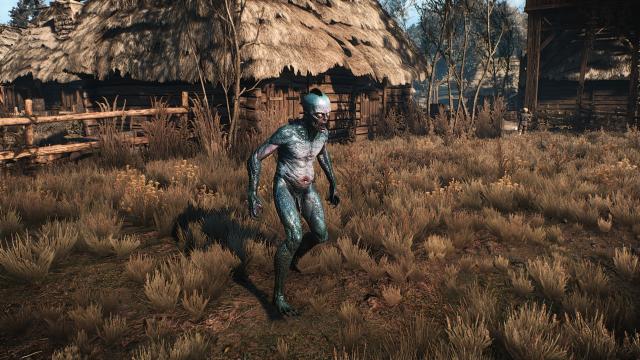 HDMR - HD Monsters Reworked mod for The Witcher 3