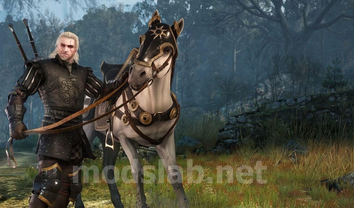 fast travel witcher 3