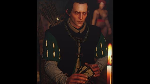 Better Elves for The Witcher 3