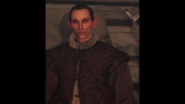 Better Elves for The Witcher 3