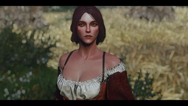 Better Elves for The Witcher 3