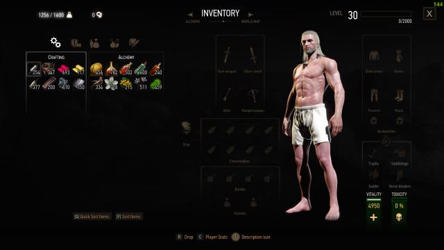 Стакаем предметы / Stack Your Items для The Witcher 3