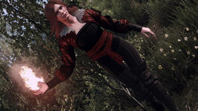 Elegant Triss для The Witcher 3