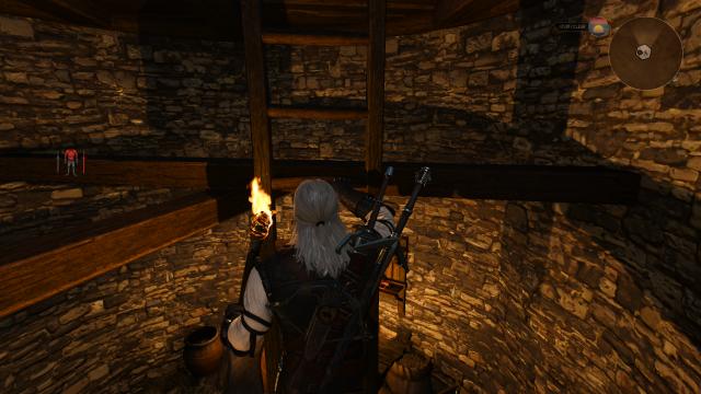Ladder with Torch for The Witcher 3
