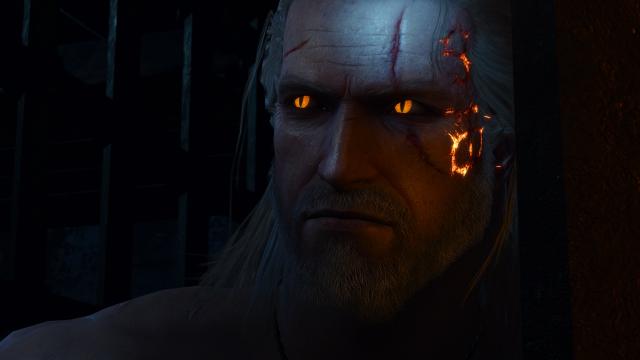 Hearts of Stone Burning Mark for The Witcher 3