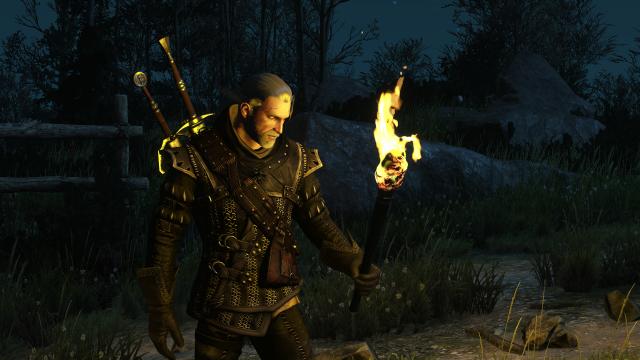 Colourful Torches for The Witcher 3