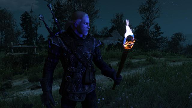 Colourful Torches for The Witcher 3