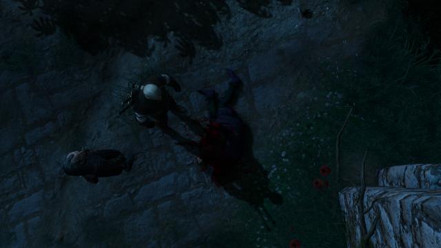 Vampires Have No Shadows for The Witcher 3