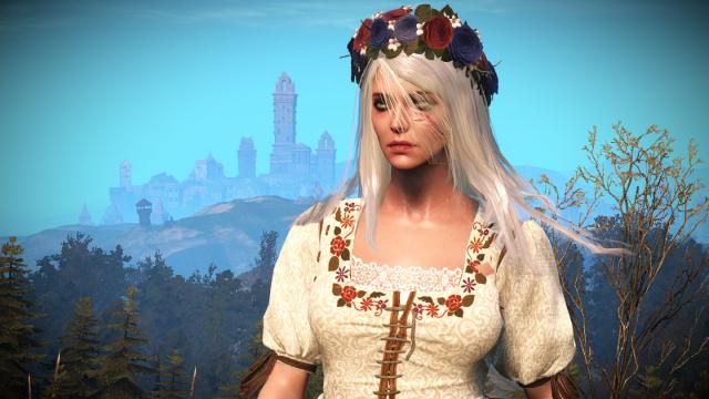 Long and loose hairstyle for Ciri for The Witcher 3