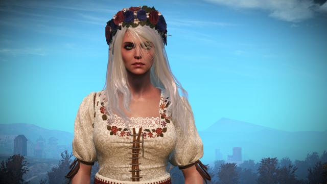 Long and loose hairstyle for Ciri for The Witcher 3