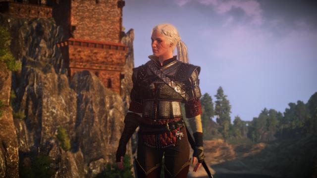 Ciri's Witcher Gear - Wolven for The Witcher 3