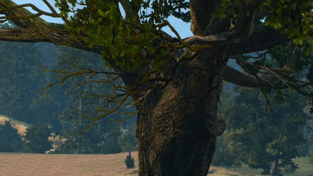 Better Oaks for The Witcher 3