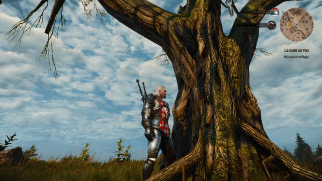 Better Oaks for The Witcher 3