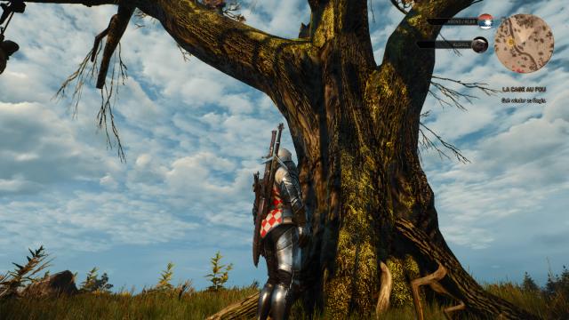 Better Oaks for The Witcher 3