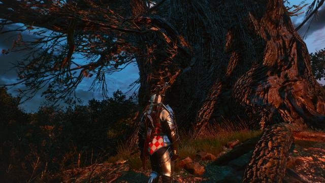 Better Oaks for The Witcher 3