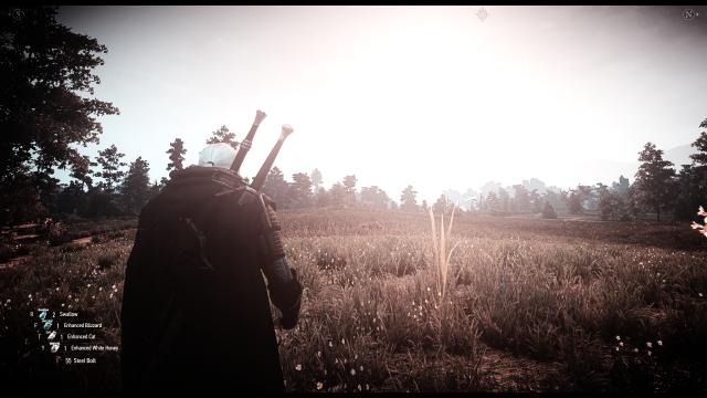 Rooster's Gothic ReSHADE для The Witcher 3