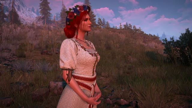 Beautiful Dress for Triss for The Witcher 3