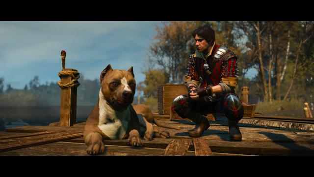 Dog Appearance Overhaul aka DAO for The Witcher 3