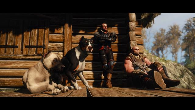 Dog Appearance Overhaul aka DAO for The Witcher 3