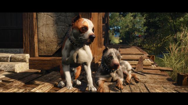 Dog Appearance Overhaul aka DAO for The Witcher 3