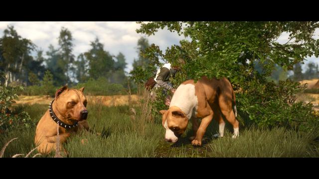 Dog Appearance Overhaul aka DAO for The Witcher 3