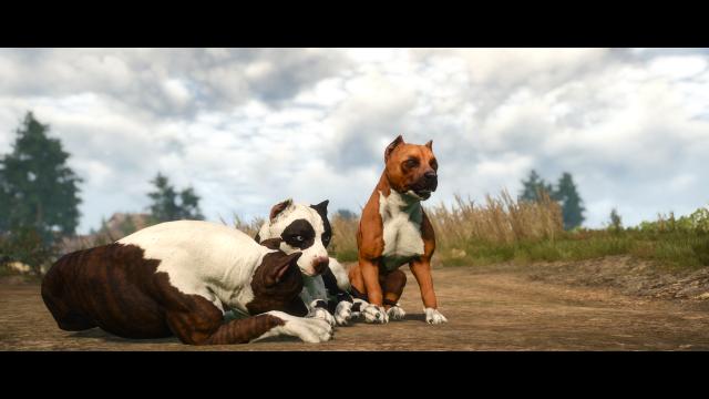 Dog Appearance Overhaul aka DAO for The Witcher 3