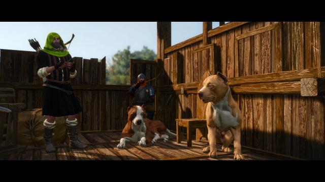 Dog Appearance Overhaul aka DAO for The Witcher 3