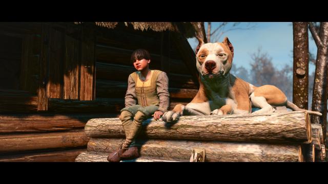 Dog Appearance Overhaul aka DAO for The Witcher 3