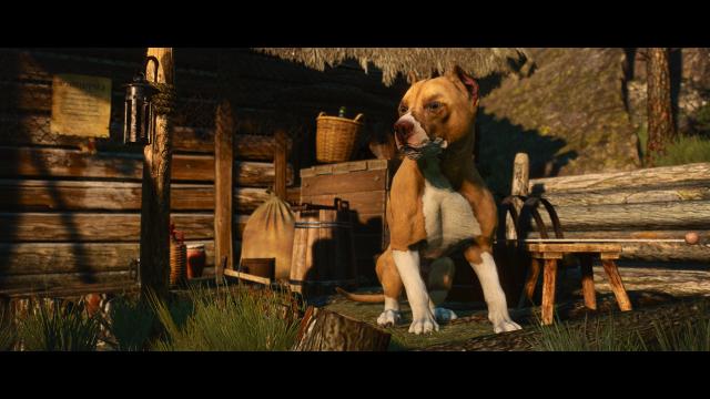 Dog Appearance Overhaul aka DAO for The Witcher 3