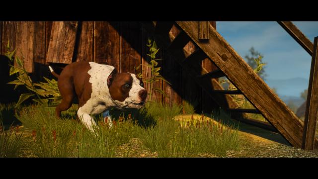 Dog Appearance Overhaul aka DAO for The Witcher 3