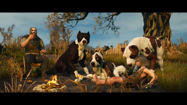 Dog Appearance Overhaul aka DAO for The Witcher 3