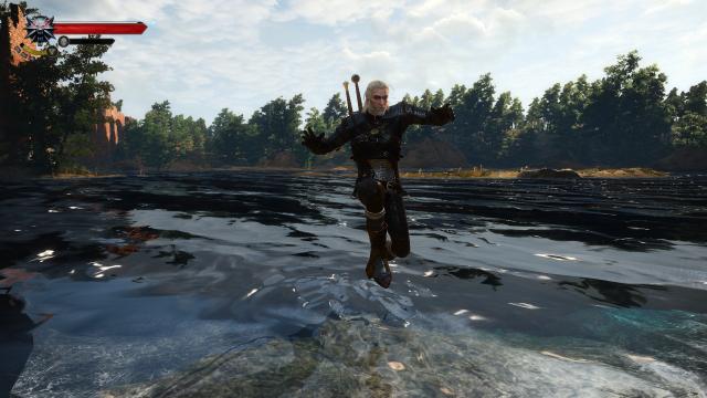 Jump in Shallow Water for The Witcher 3