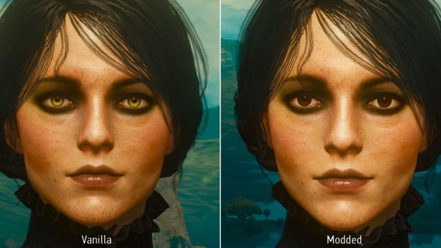 Brown Eyes for Iris for The Witcher 3