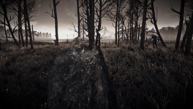 Плащ-невидимка / Invisibility Cloak для The Witcher 3