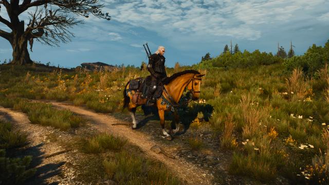 Roach 2.0 for The Witcher 3