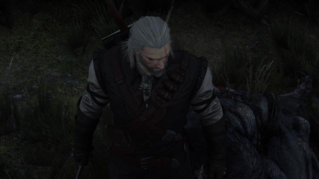 Active Medallion for The Witcher 3
