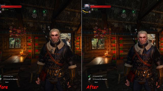 Удаление эффектов токсикации / Toxicity - Clean Face and Screen для The Witcher 3