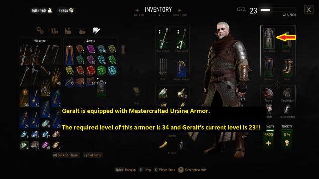 Equip any Level Item -