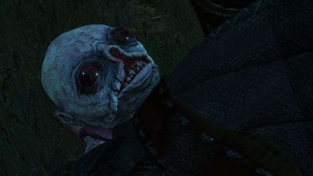 Horrid Undead for The Witcher 3