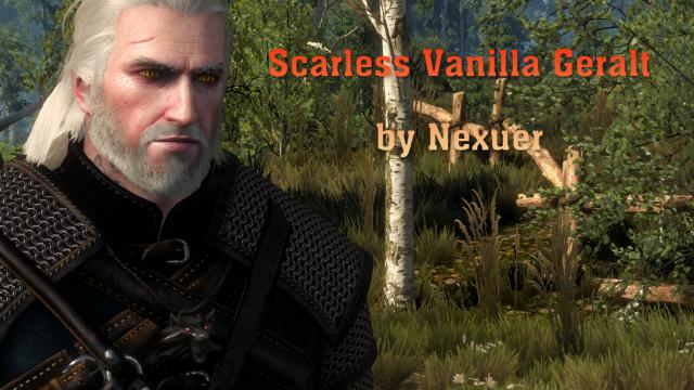 Scarless Vanilla Geralt