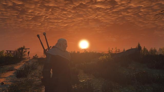 True To Life Rework for The Witcher 3